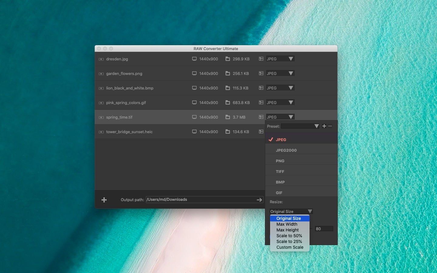 RAW Converter Ultimate screenshot 4